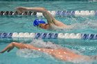 Swimming & Diving vs RWU  Swimming & Diving vs Roger Williams University. - Photo by Keith Nordstrom : Wheaton, Swimming